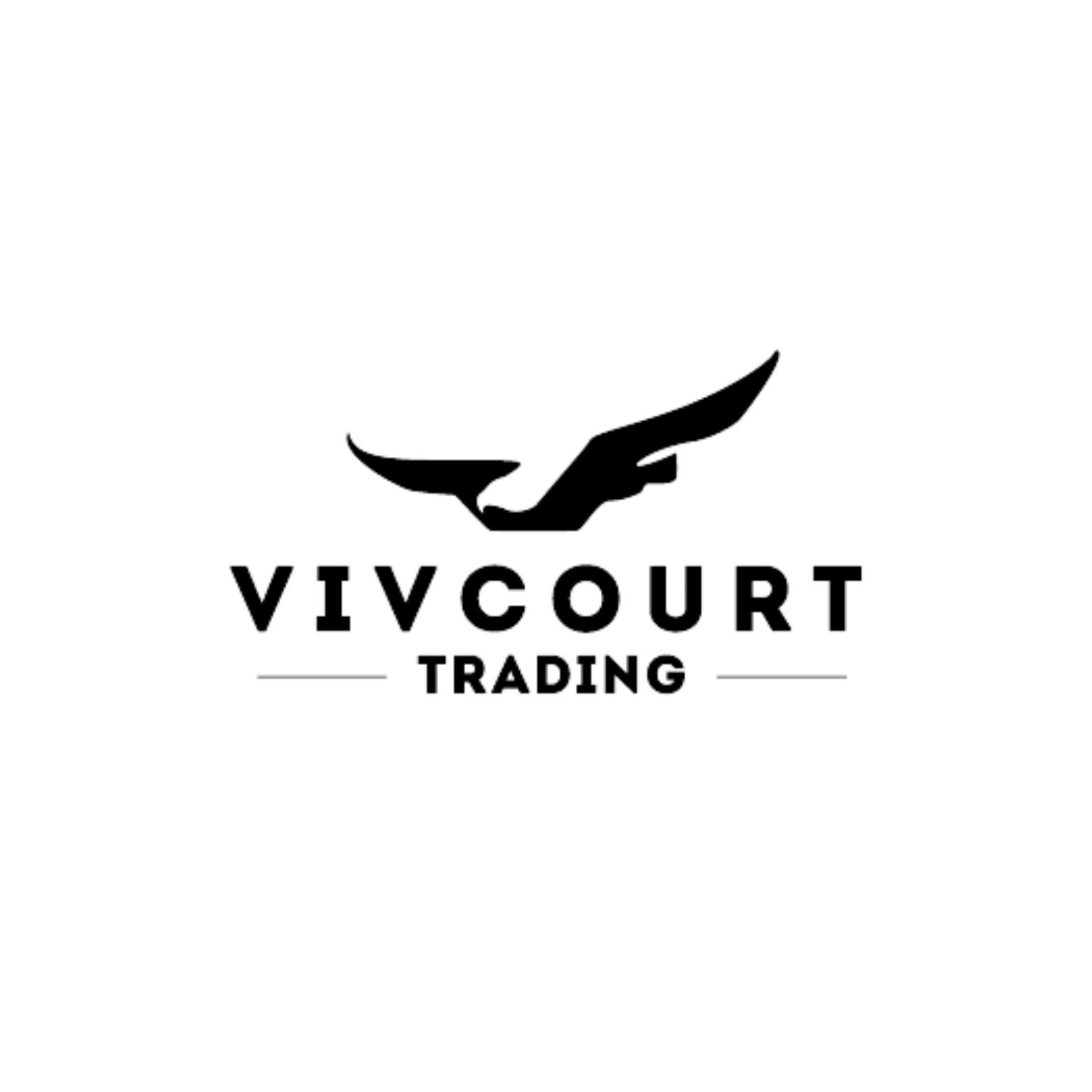 VivCourt Trading photo